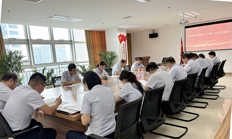 市皇冠足彩网官网首页集团召开党委扩大会议 传达学习党的二十届三中全会精神